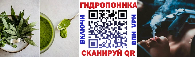 Canna-Cookies марихуана  mega ТОР  Кириллов  купить  
