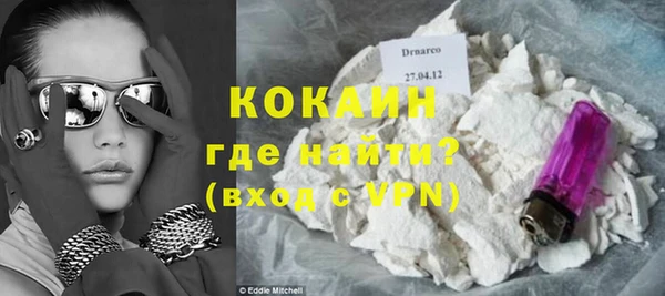 шишки Абаза