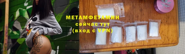 шишки Абаза