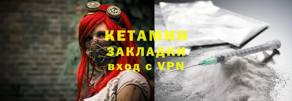шишки Абаза