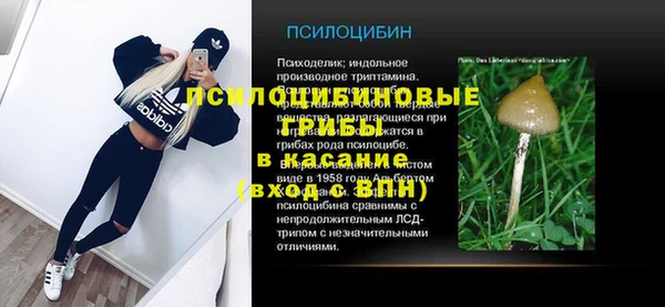 шишки Абаза