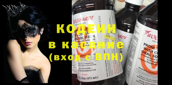 шишки Абаза