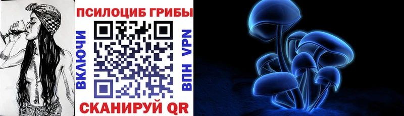 Галлюциногенные грибы Psilocybe  где продают   Кириллов 
